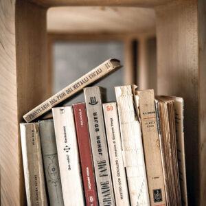 TORRE LIGNEA Libreria - Riva 1920